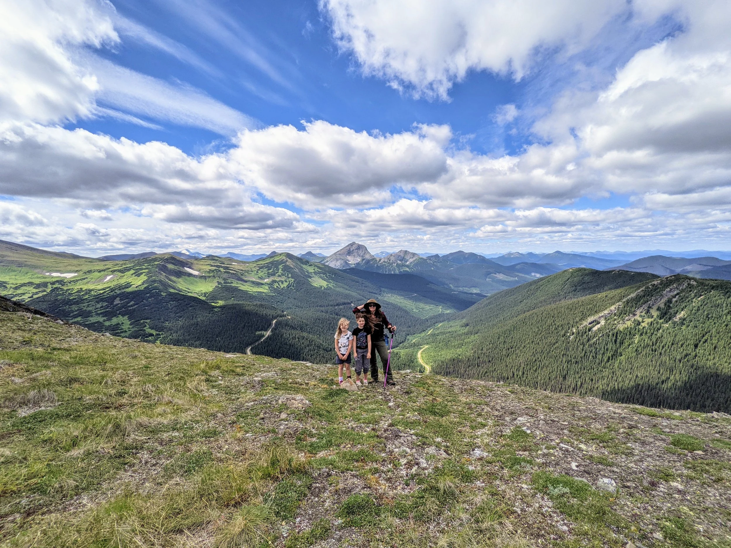 Holzworth Meadows — Visit Tumbler Ridge